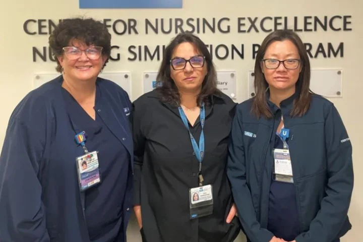 Professionals from the Center of Nursing Excellence