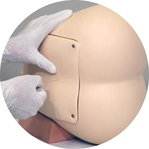 Adult Lumbar Puncture Trainer (Ultrasoundable)
