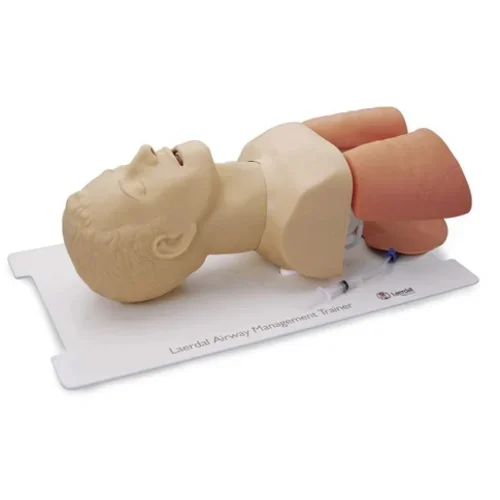 Adult Airway Trainer