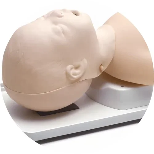 Infant Airway Trainer